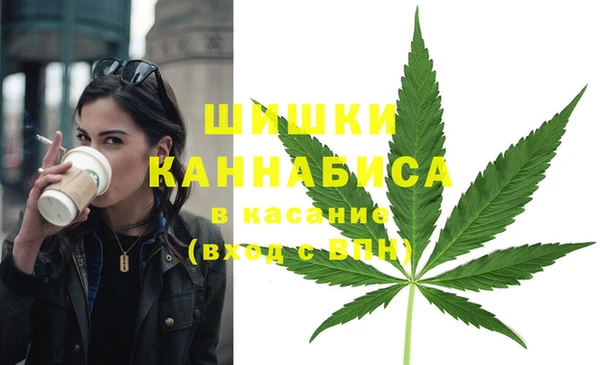 МДПВ Липки