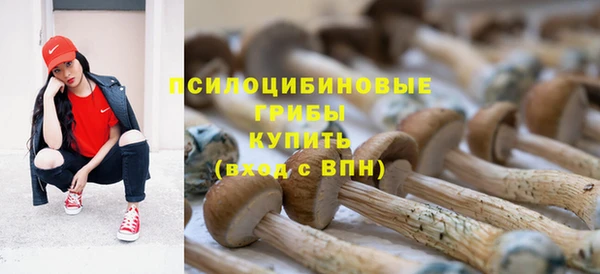 винт Лихославль