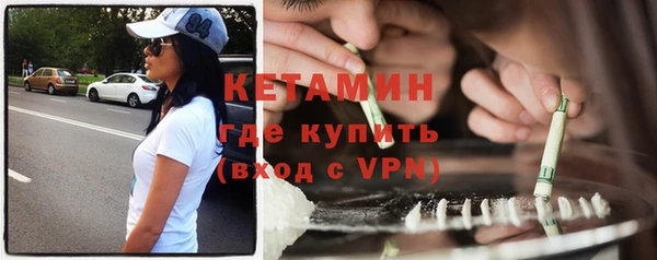 шишки Лабытнанги