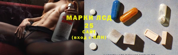 шишки Лабытнанги