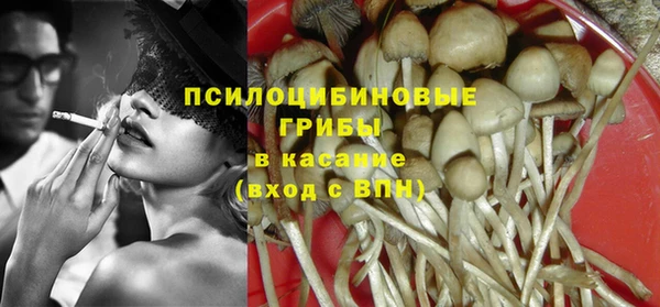 шишки Лабытнанги