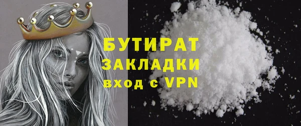 шишки Лабытнанги